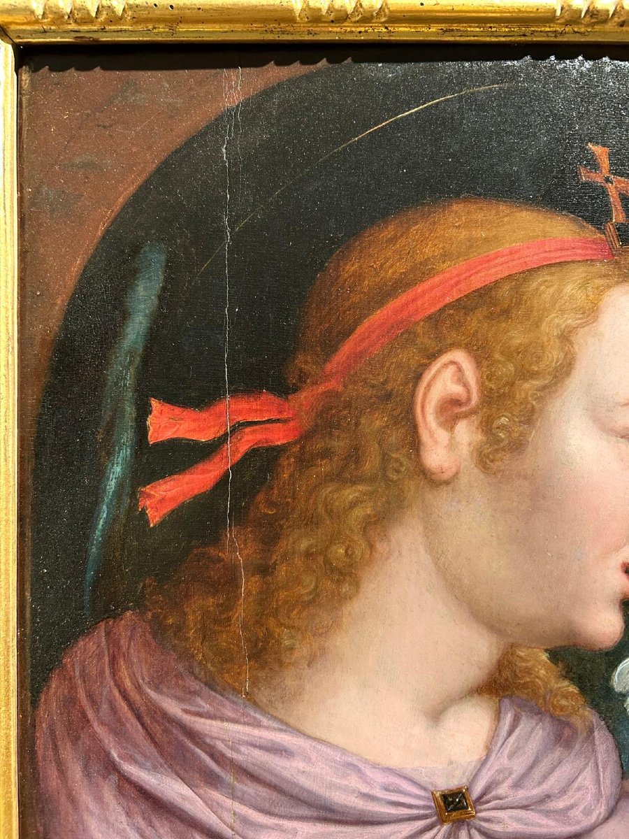 Oil On Panel, Study Of The Annunciating Angel, Florence, Early 16th Century-photo-2