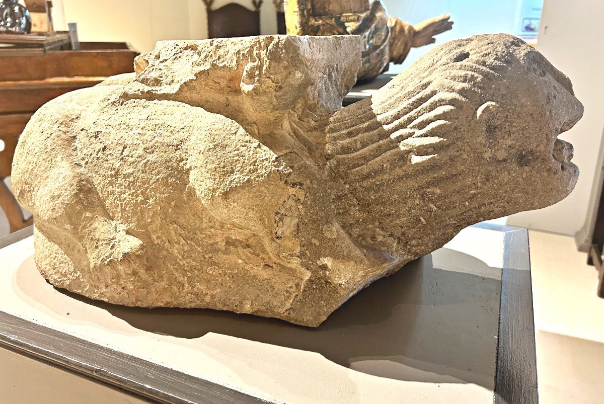 Lion marin stylophore en pierre peperine du XII Siècle-photo-2