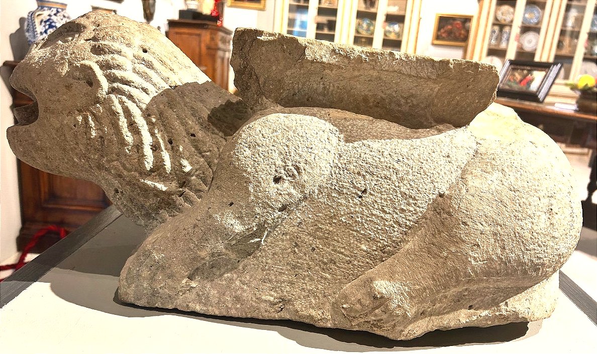Lion marin stylophore en pierre peperine du XII Siècle-photo-3