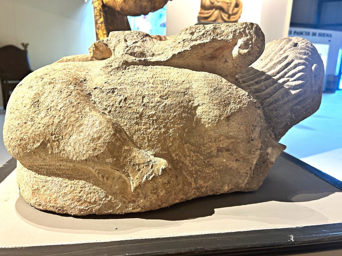 Lion marin stylophore en pierre peperine du XII Siècle-photo-1