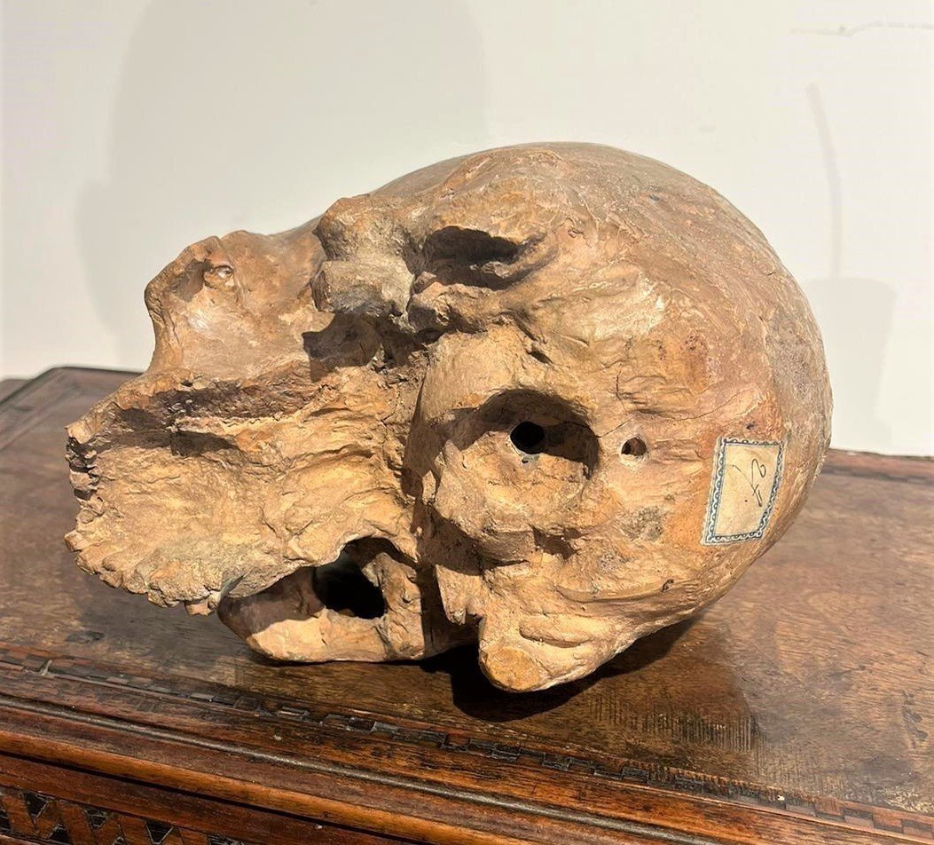 Terracotta Skull - 16th-century Vanitas Or Memento Mori.-photo-2
