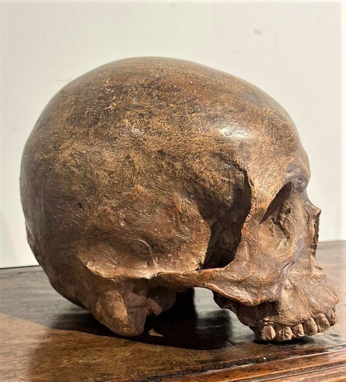 Terracotta Skull - 16th-century Vanitas Or Memento Mori.-photo-3