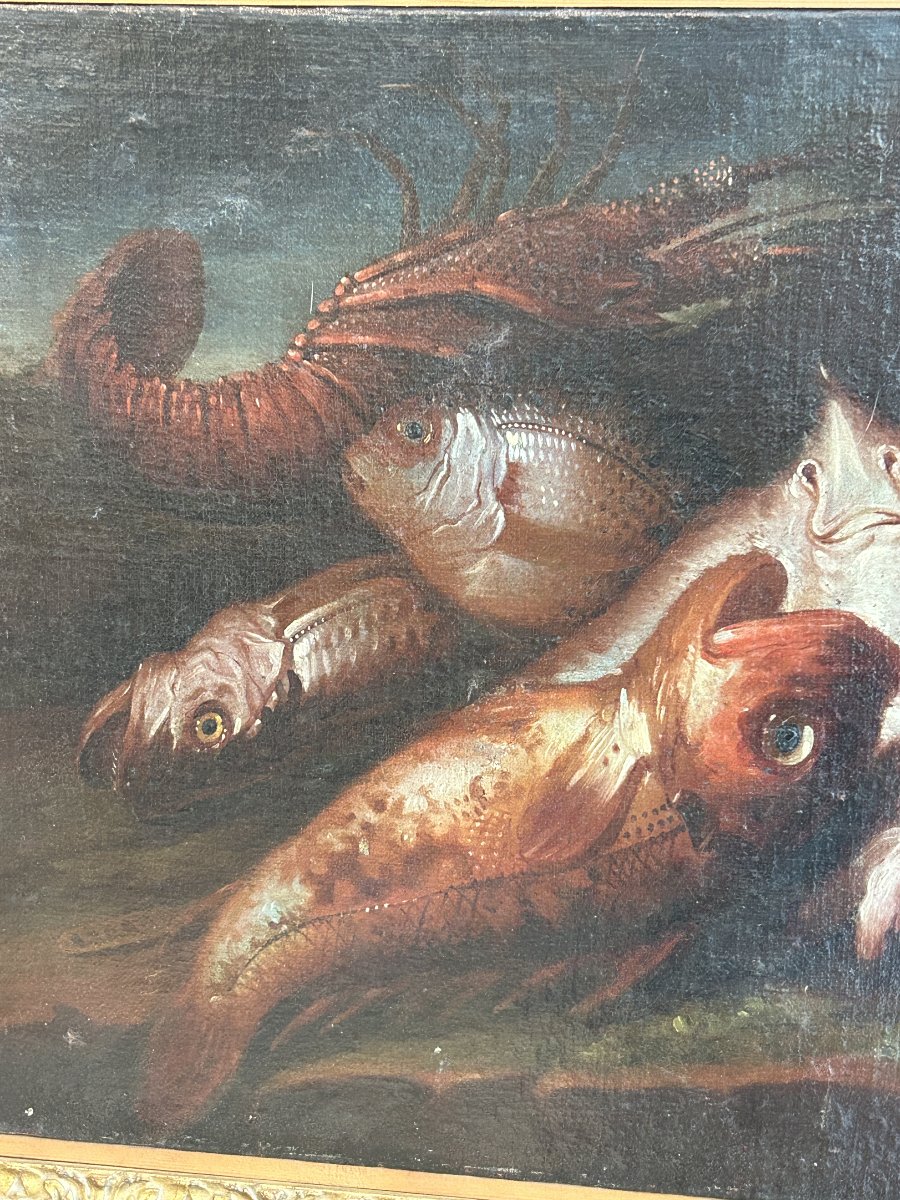 Neapolitan Recco Workshop, Still Life With Fish, Attributed To Elena Recco-photo-4