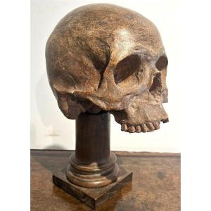 Terracotta Skull - Vanitas Or Memento Mori From The 16th Century.