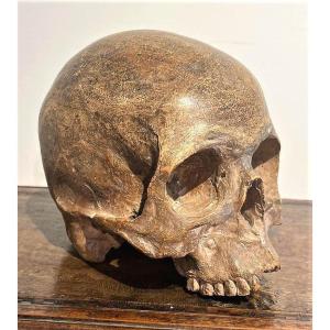 Terracotta Skull - Vanitas Or Memento Mori From The 16th Century.