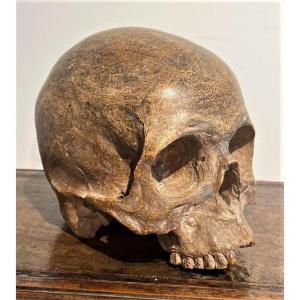 Crâne En Terre Cuite - Vanitas Ou Momento Mori de la fin du XVIe Siècle.