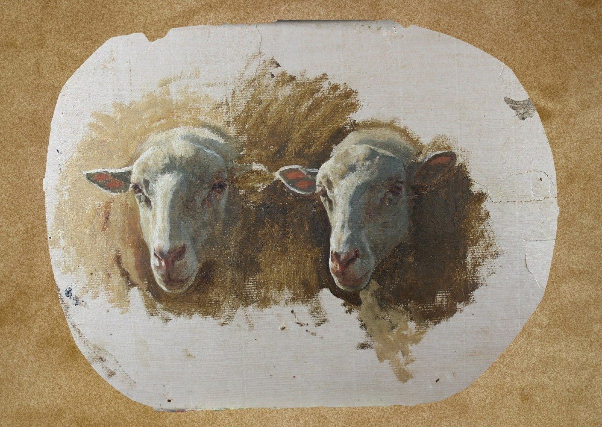 étude des Têtes de Moutons - Auguste Bonheur huile sur papier