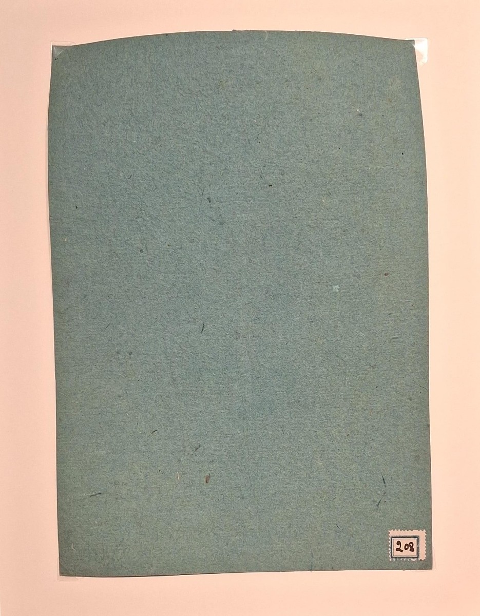  Coriolano Vighi - Paysage forestier - Dessin - XIXe siècle - Signé-photo-2