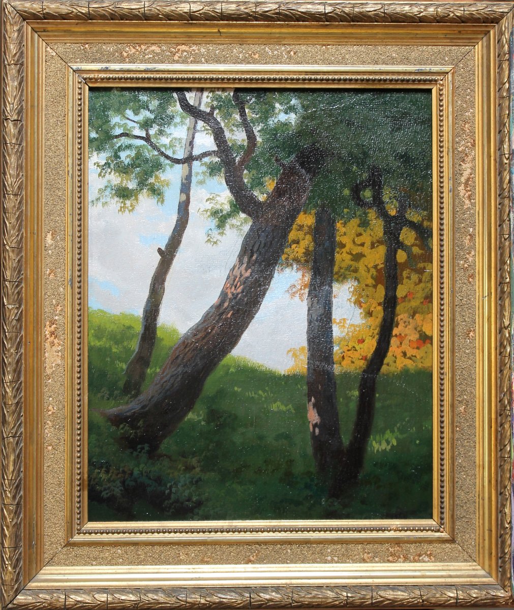 Silvio Gordini (1849 - 1937) - Huile sur carton - Paysage - Signé et daté 1909 - Romagna-photo-1