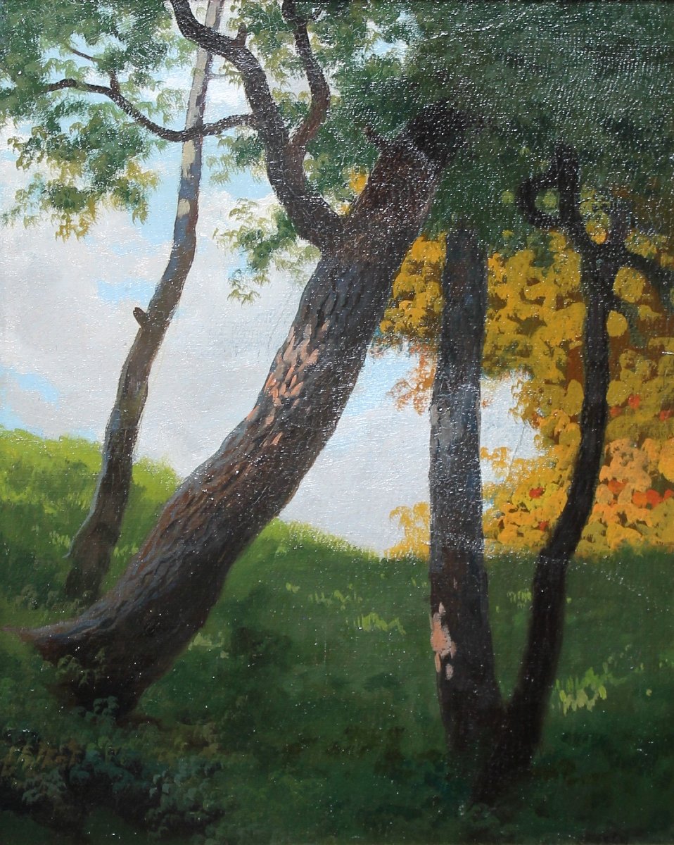 Silvio Gordini (1849 - 1937) - Huile sur carton - Paysage - Signé et daté 1909 - Romagna