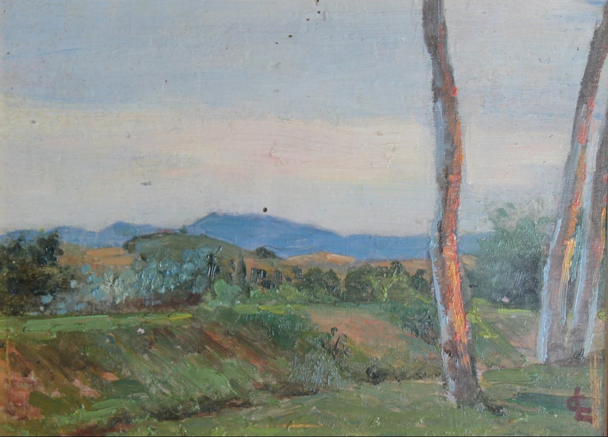 Carlo Legnani - Paysage - Monogrammé
