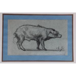 Charles Jacque (1813 - 1894) A Boar Drawing  Monogrammed