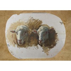 étude des Têtes de Moutons - Auguste Bonheur huile sur papier