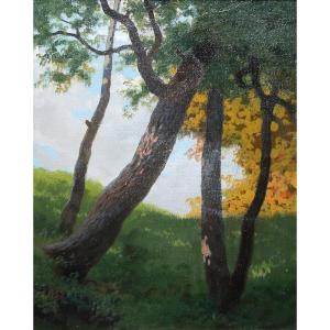Silvio Gordini (1849–1937) — Oil On Cardboard — Landscape, Signed And Dated 1909 — Romagna