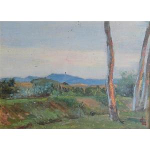 Carlo Legnani - Landscape - With Monogram