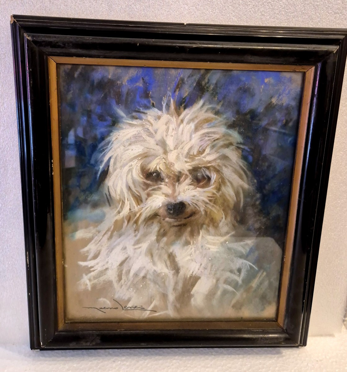 Italian School Portrait Of A Maltese Dog XX Century