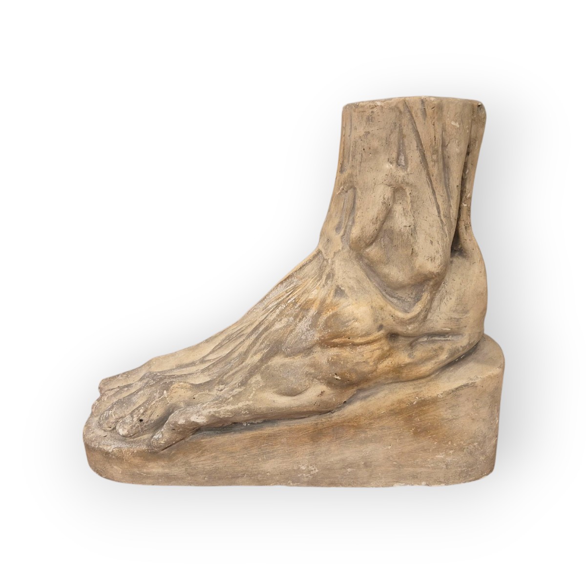 pied anatomique, Sculpture , Italie XIXème Siècle -photo-2