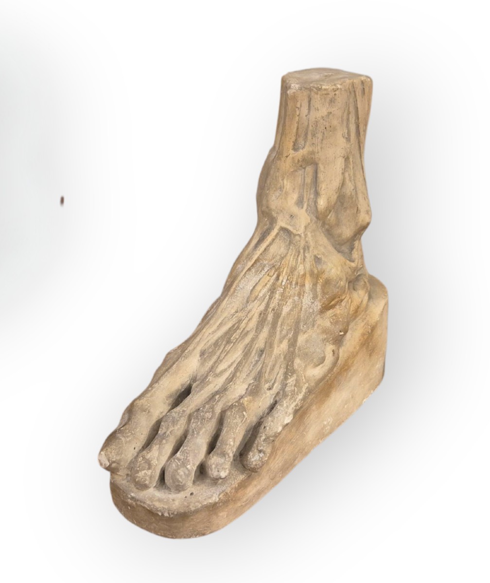 pied anatomique, Sculpture , Italie XIXème Siècle 