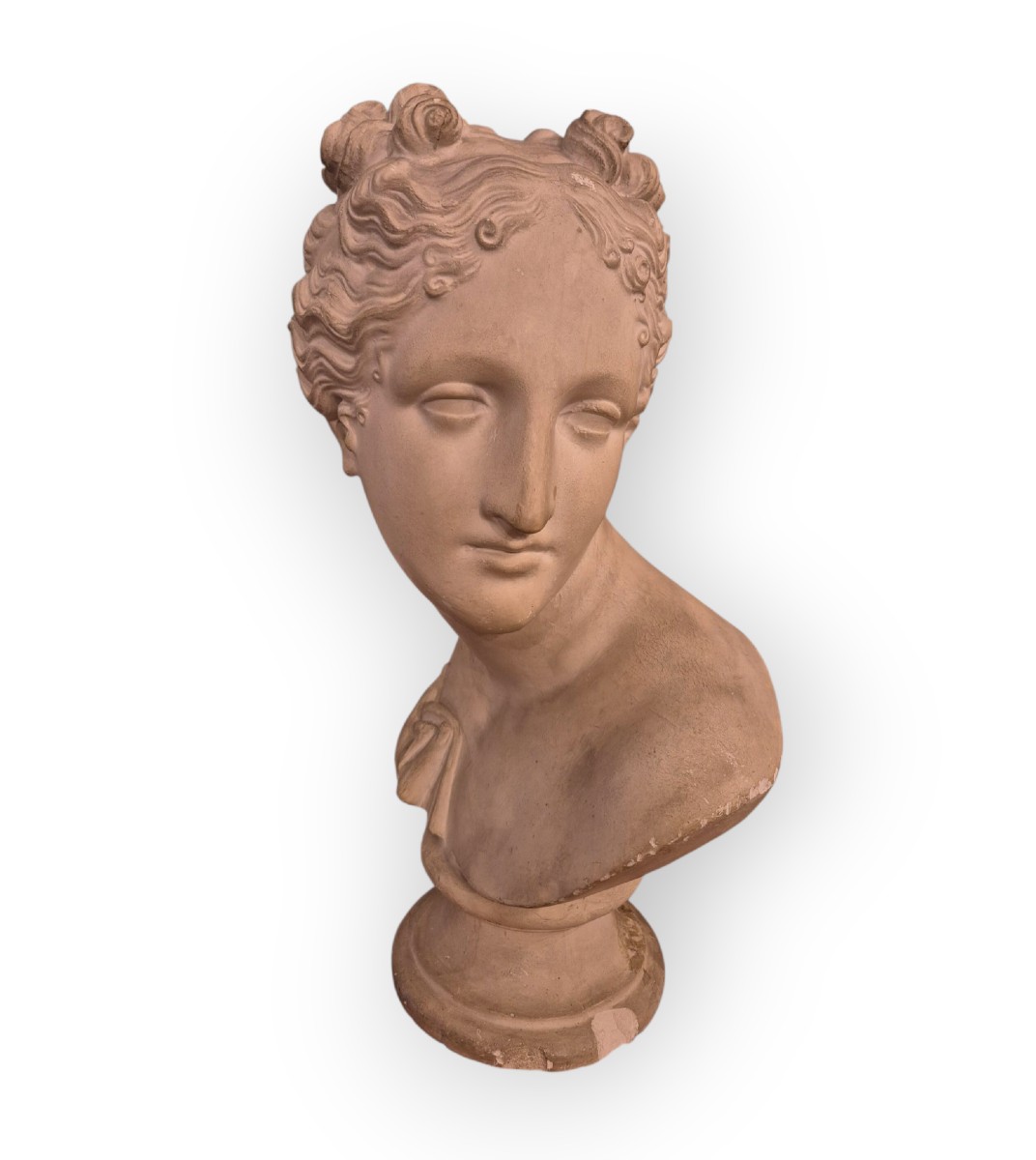 Venus Italica Bust, Scultura, Italia XIX Secolo , Grandtour-photo-2
