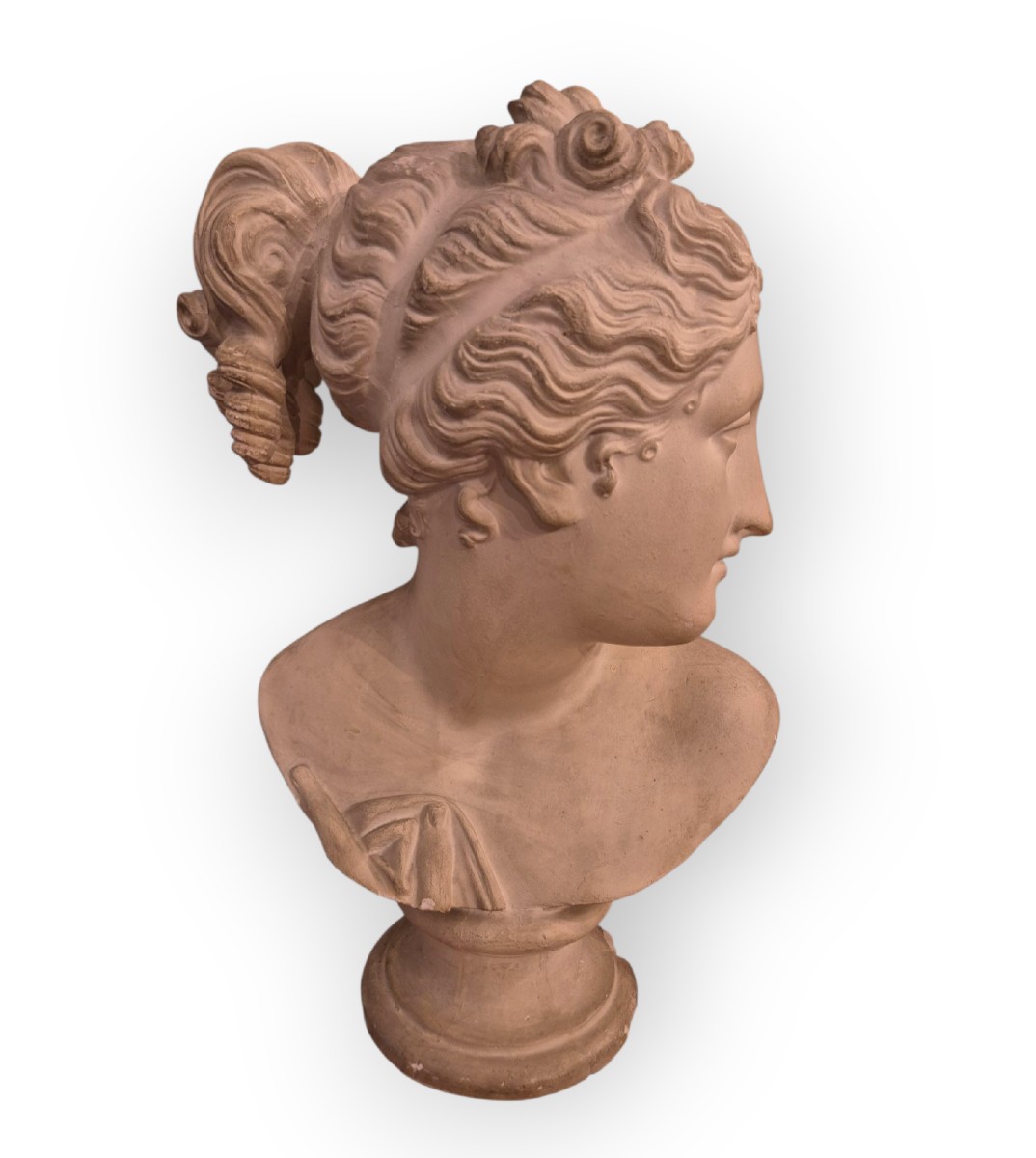 Venus Italica Bust, Scultura, Italia XIX Secolo , Grandtour