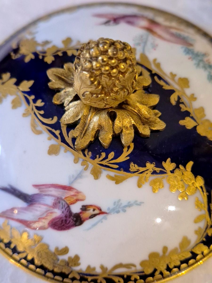 Potiche en porcelaine du type Sevres monture en ormolu XIX siécle-photo-4