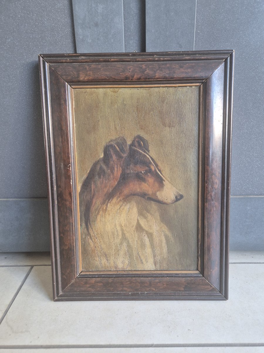Portrait Of A Collie, Painting, Italy, 1940s-photo-3