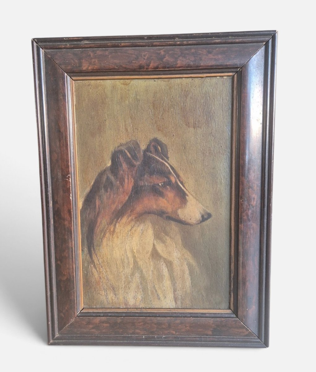Portrait Of A Collie, Painting, Italy, 1940s