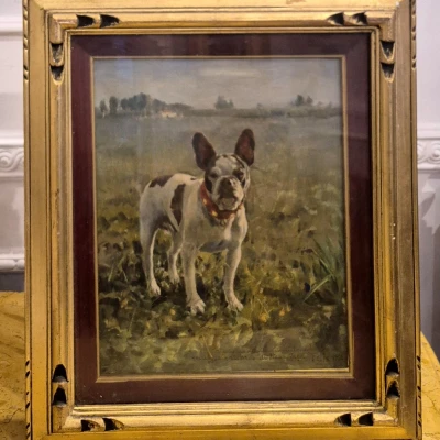 Premiere-Image-1744331