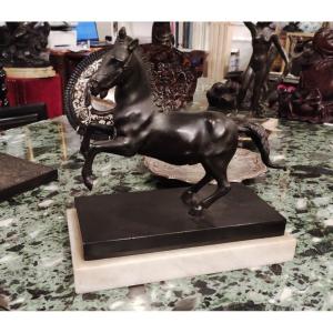 Cheval Cabré, Sculpture En Bronze , Italie XIXéme Siècle 