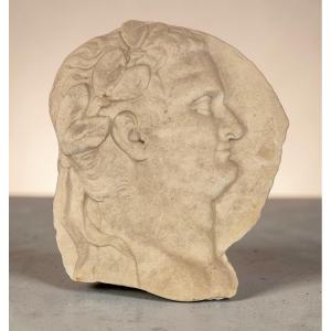 médaillon à l'effigie de l'empereur Titus, Marbre , Rome XVIIIème Siècle Grand tour 