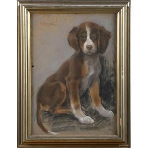 Portrait Of A Puppy, Painting By U. Coromaldi, Italy, Early 20th Century