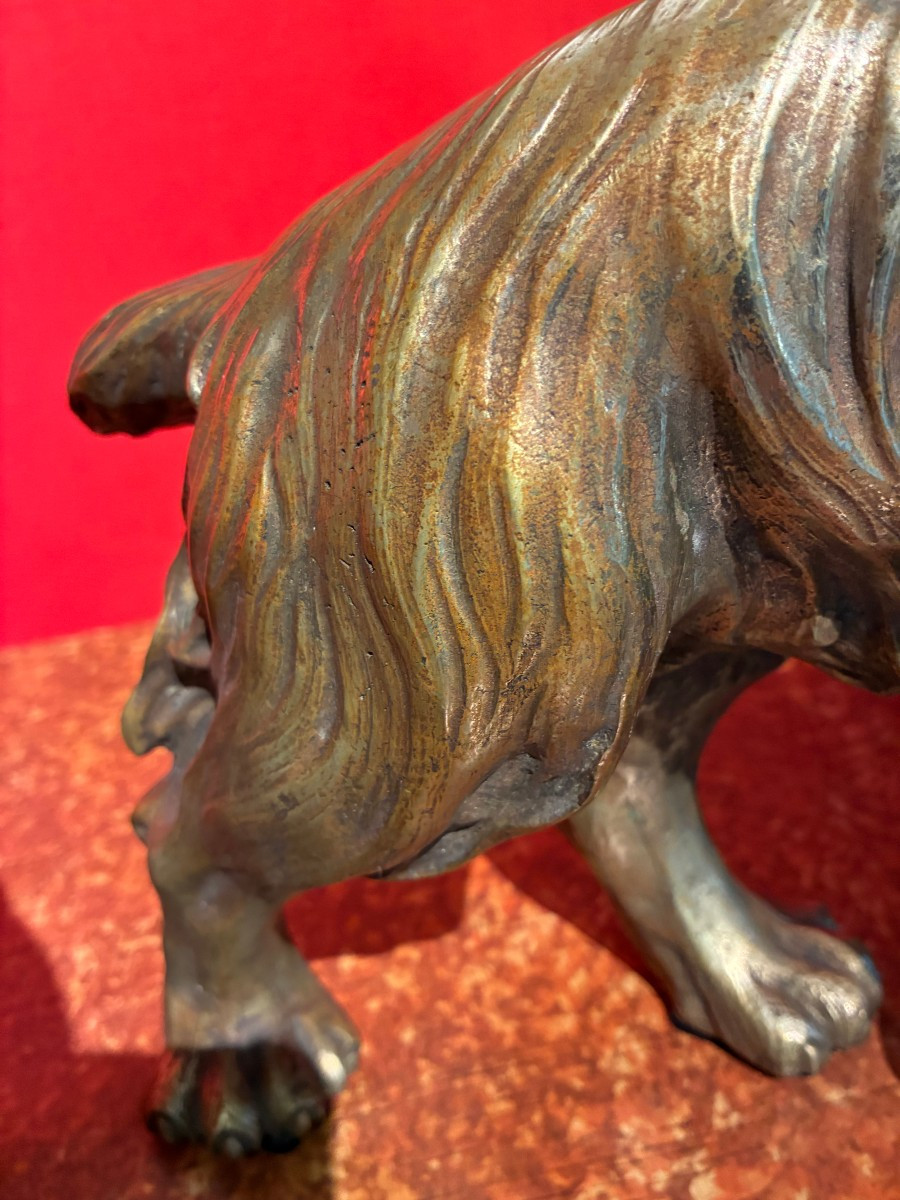 Italian Silver-plated Bronze Dog From The Early 1900s-photo-3