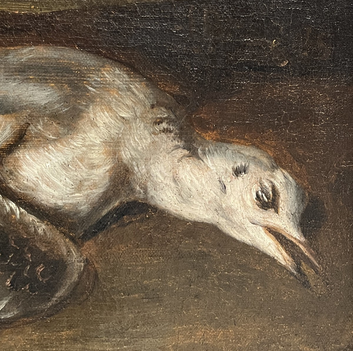 Hans Bollongier (Haarlem, Pays-Bas, 1600-1645) Nature morte au gibier-photo-3