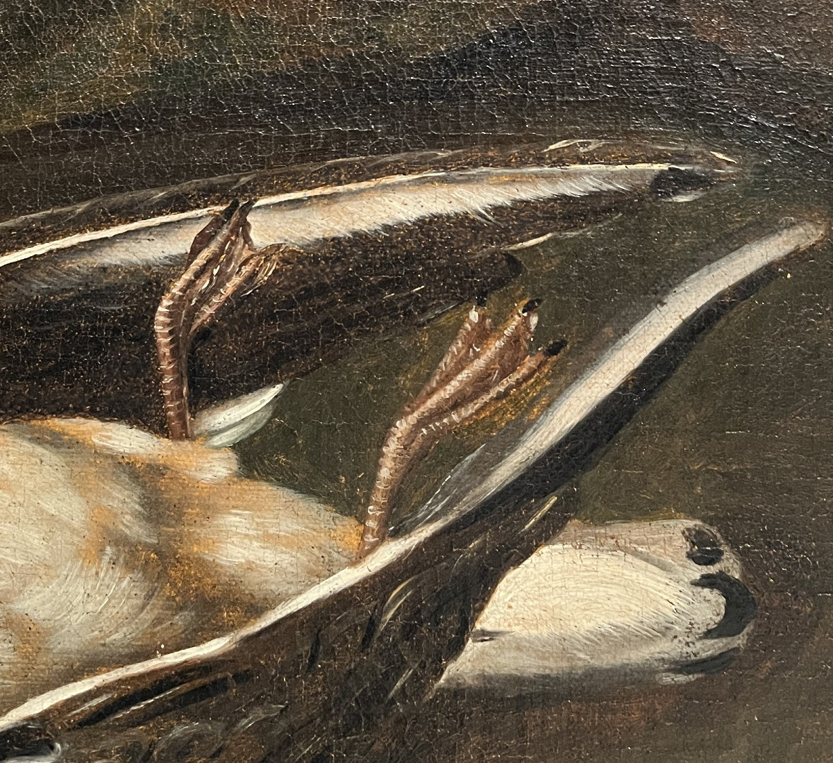 Hans Bollongier (Haarlem, Pays-Bas, 1600-1645) Nature morte au gibier-photo-6