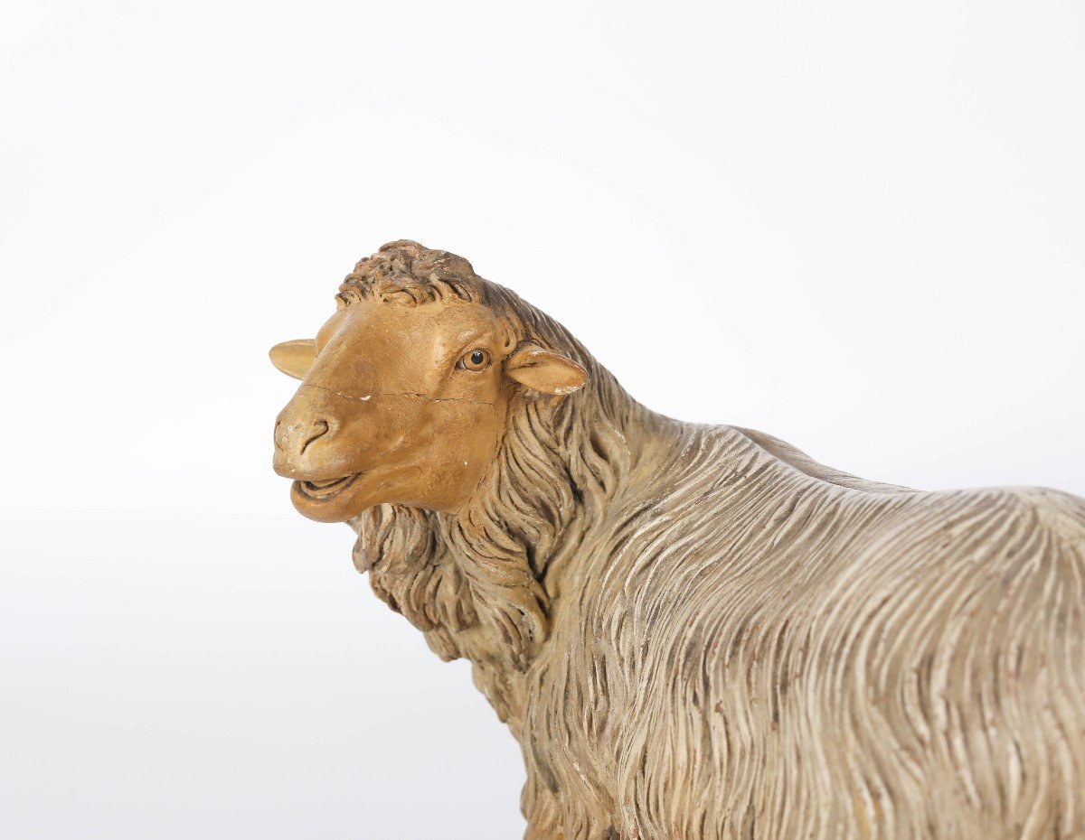 "sheep" Animal Of The Neapolitan Nativity Scene, Hemp, Terracotta And Wood. 18