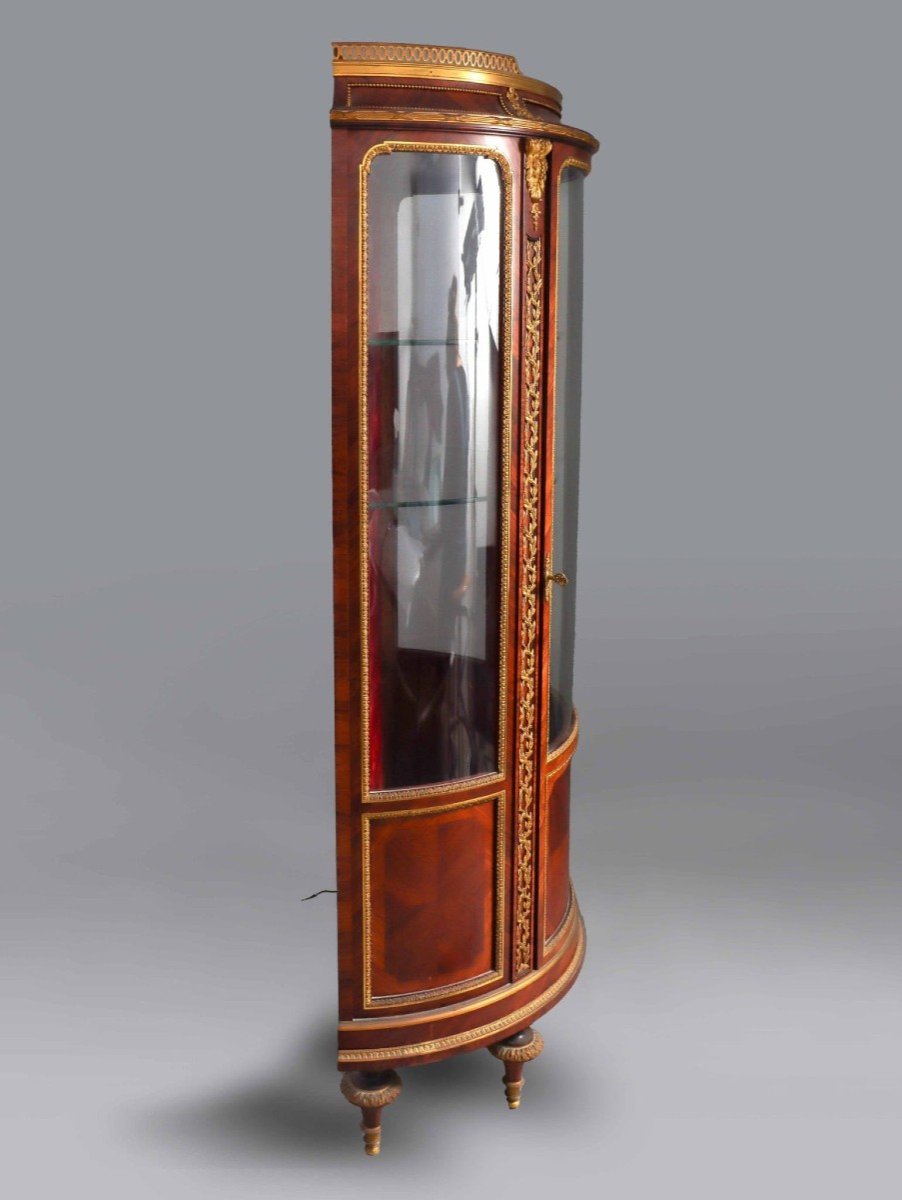 Wooden Display Cabinet, Brass, Gilt Bronze, Riches Legs, Velvet, V. Raulin, Napoleon III-photo-2