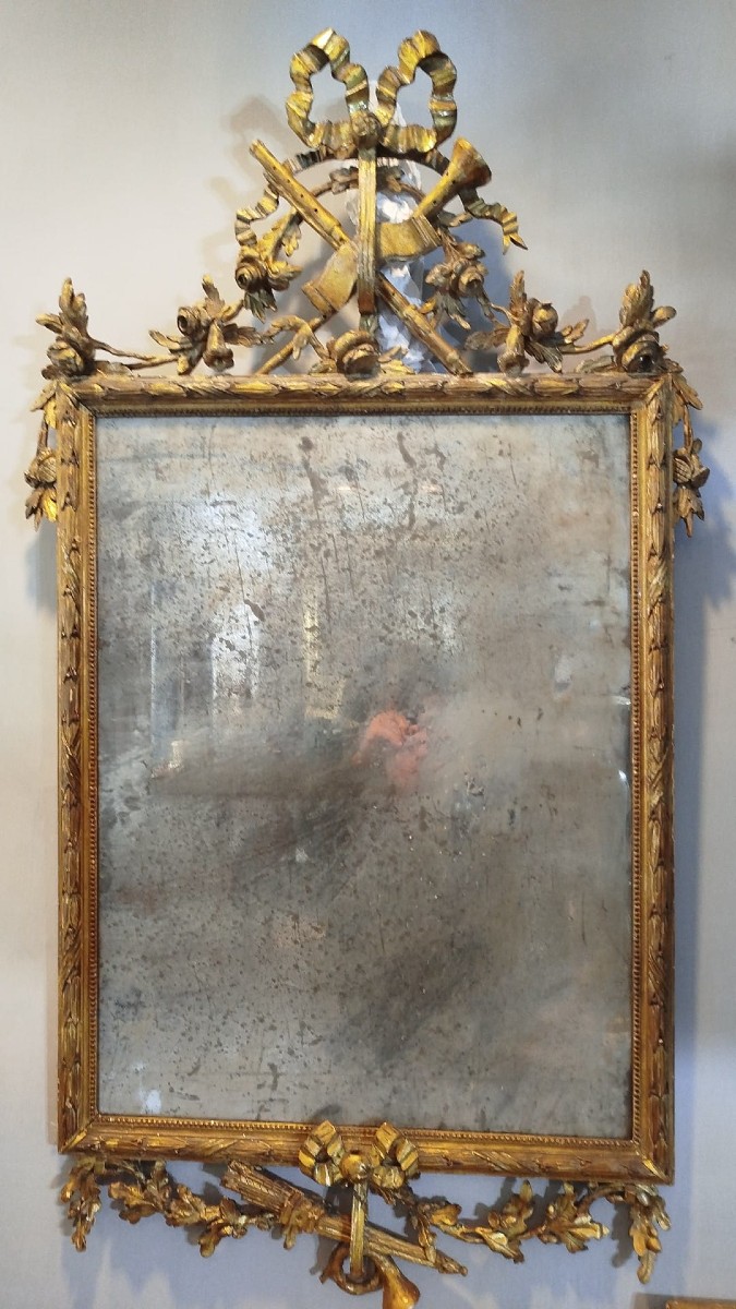 Pair Of Louis XVI-style Gilded Wooden Mirrors With Antique Mercury-glass Panels