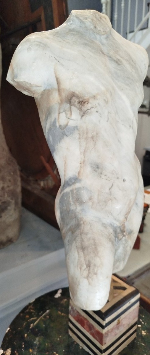 Headless Male Marble Bust – 19th Century-photo-2