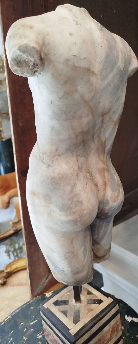 Headless Male Marble Bust – 19th Century-photo-4
