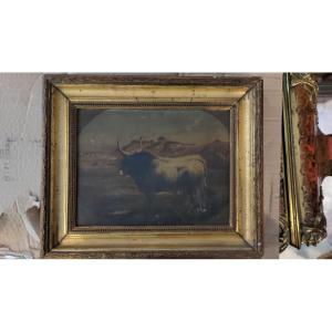 Small Picture Depicting A Bull, Oil On Canvas, 18th Century 