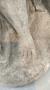 1765378-alb-6ac0cb97a1524.jpg