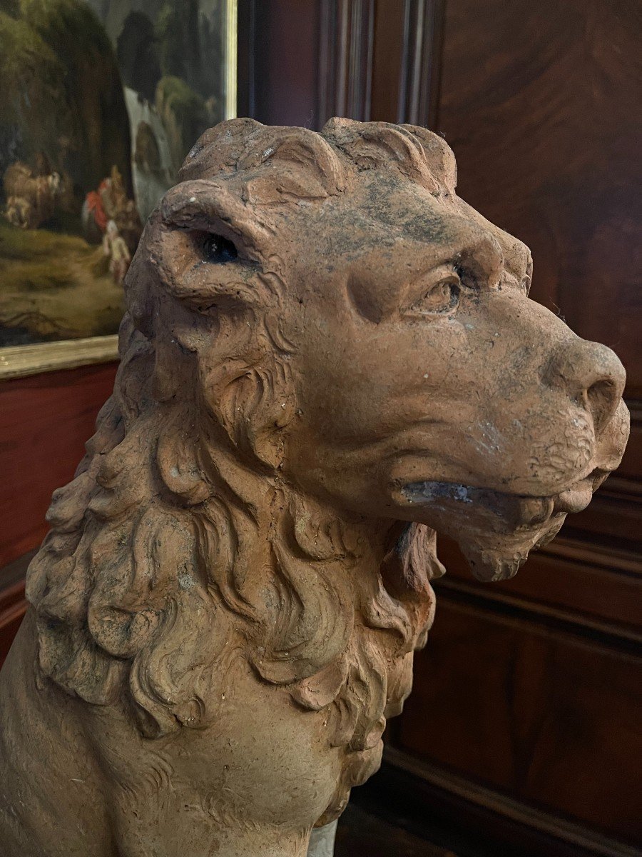 Very Beautiful Pair Of Terracotta Lions - France Or Italy - Eighteenth-photo-3