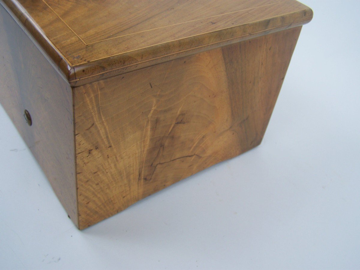 Large Music Box By Nicole Freres (1840)-photo-3