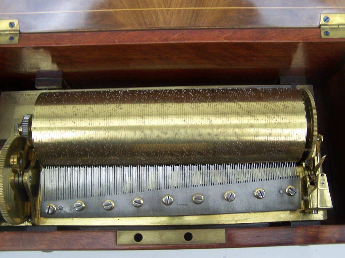 Large Music Box By Nicole Freres (1840)-photo-4