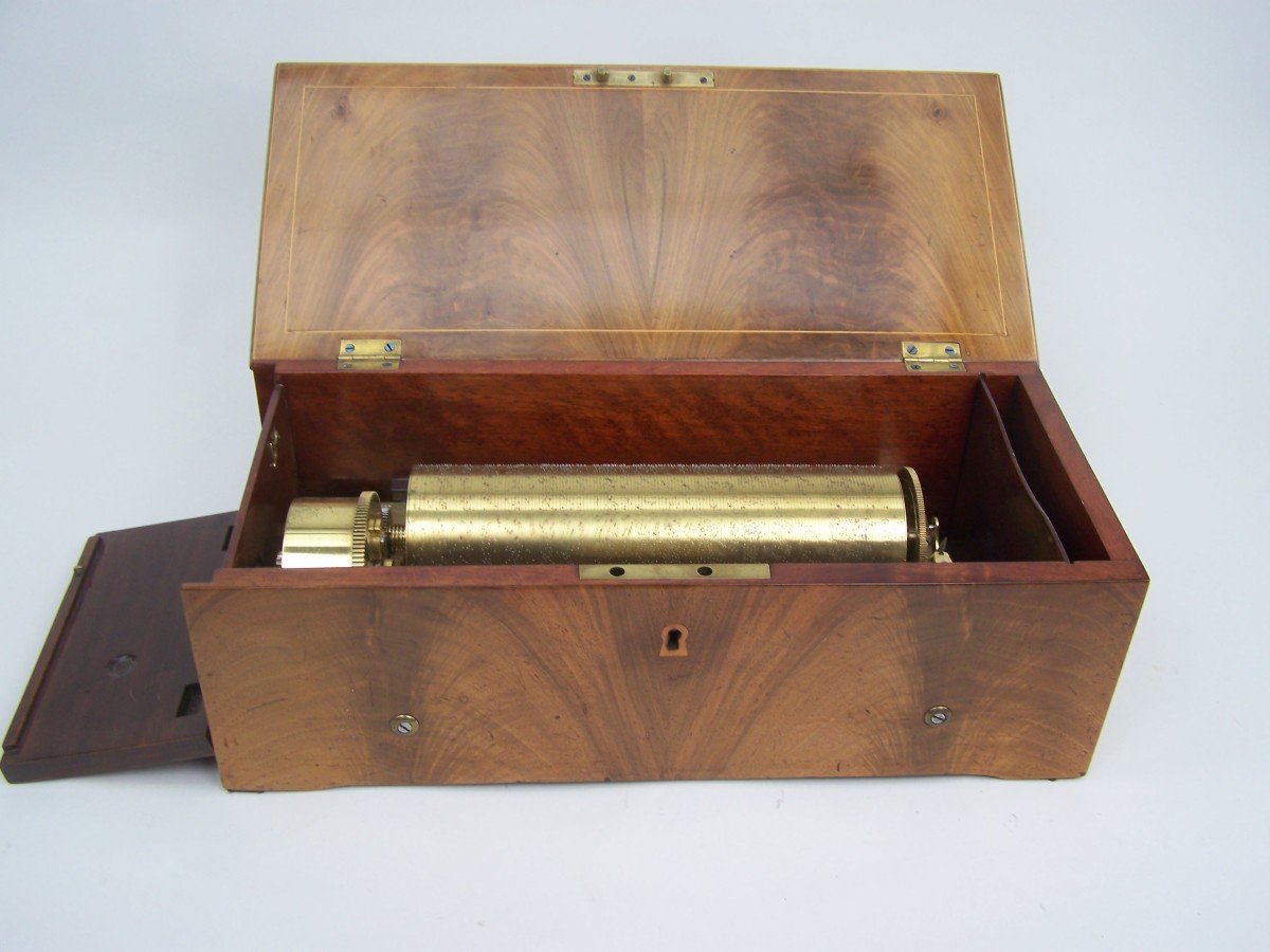 Large Music Box By Nicole Freres (1840)-photo-7