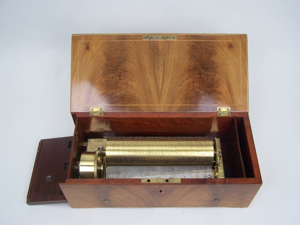 Large Music Box By Nicole Freres (1840)-photo-8