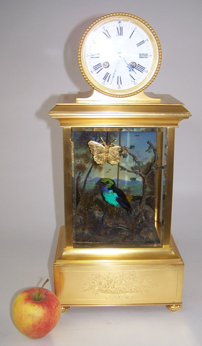 Singing Bird Clock From Bontems (paris) (automatic)