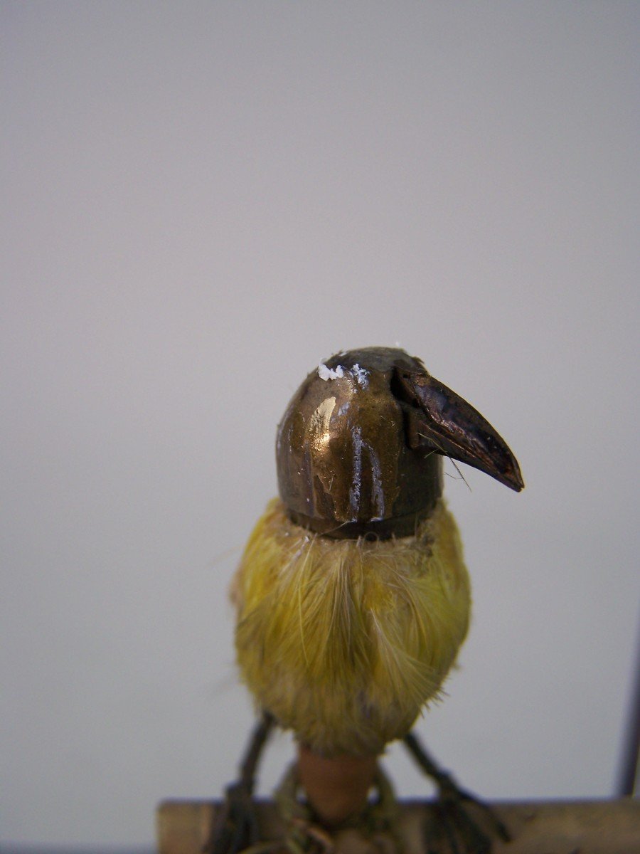 Beautiful Mechanical Songbird That Sings Wonderfully Well-photo-5