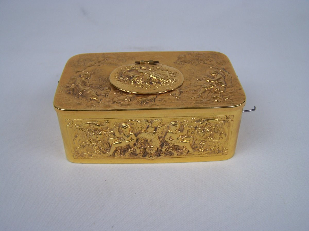 Oiseau chanteur -photo-1