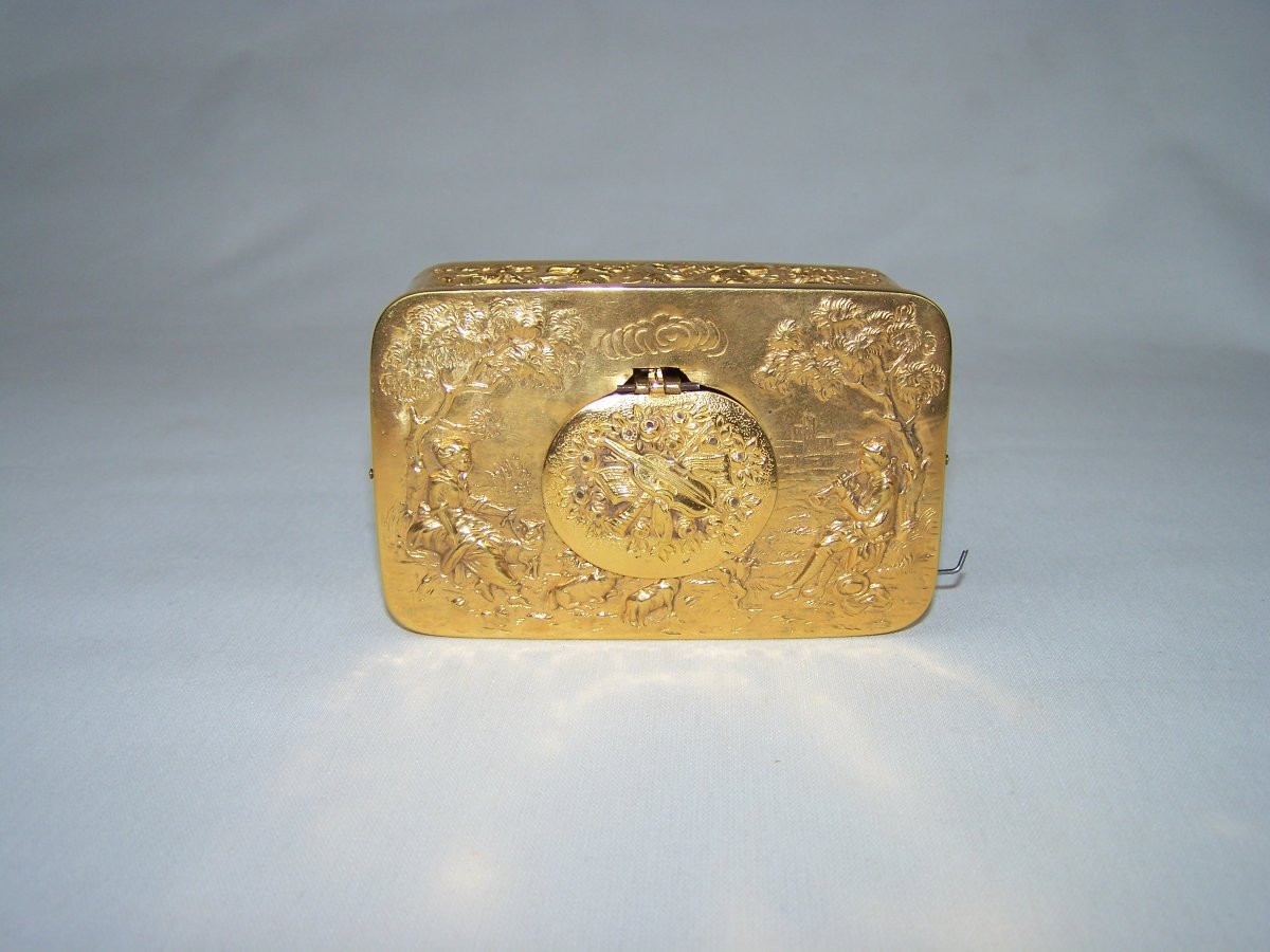 Oiseau chanteur -photo-5